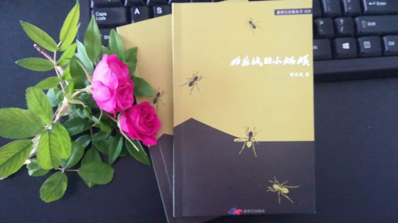 太倉知名女詩人林火火將為陽光人才網用戶簽名售書