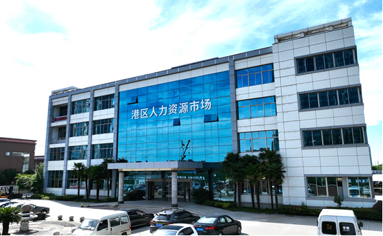 港區人力資源市場揭牌運作，迎來首場招聘會
